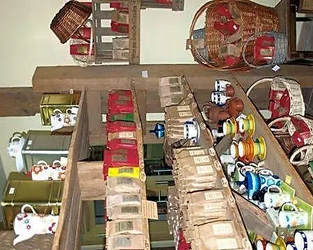 Zum Honigdieb Ribnitz-Damgarten