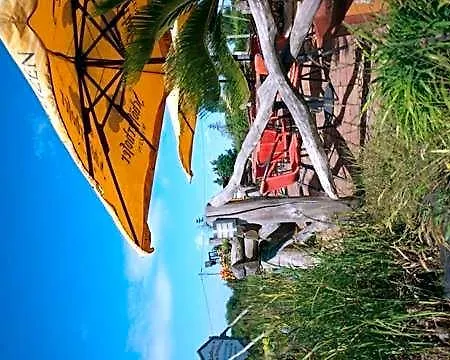 Zum Honigdieb Hotel Ribnitz-Damgarten