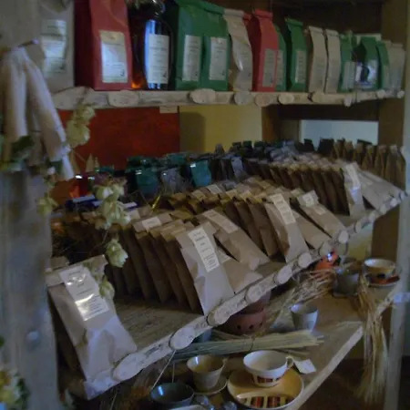 Hotel Zum Honigdieb Ribnitz-Damgarten