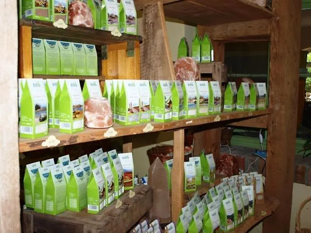 Zum Honigdieb 酒店 里布尼茨达姆加滕